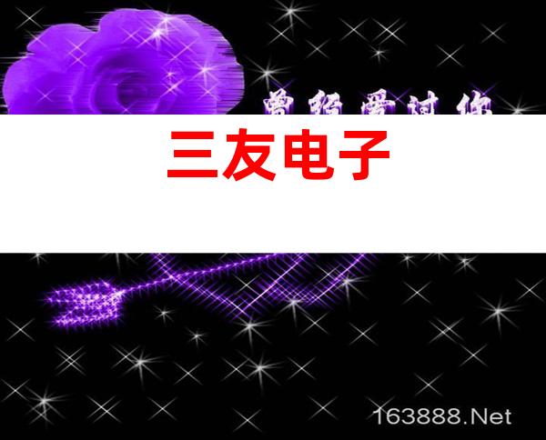 三友电子