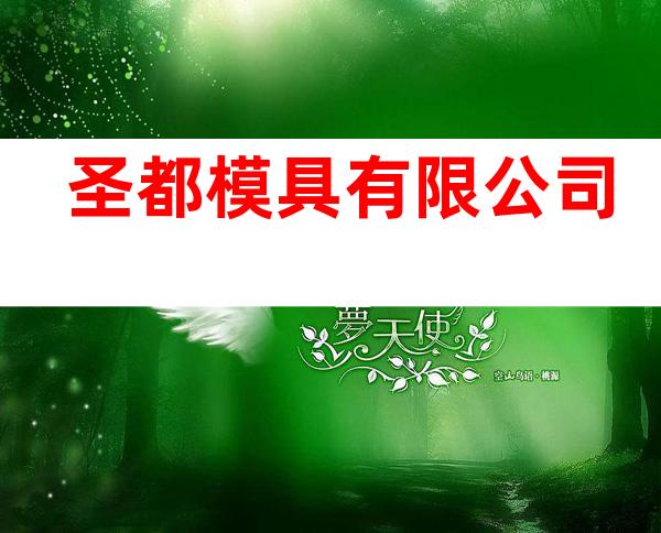 圣都模具有限公司