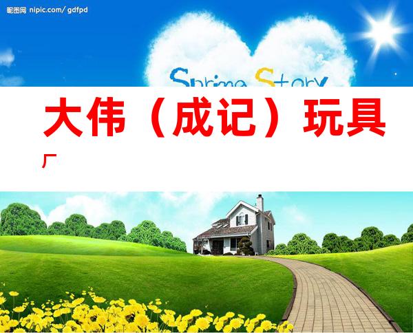 大伟（成记）玩具厂