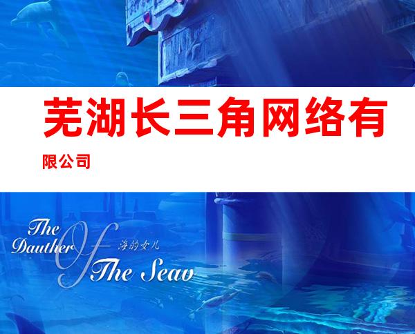 芜湖长三角网络有限公司